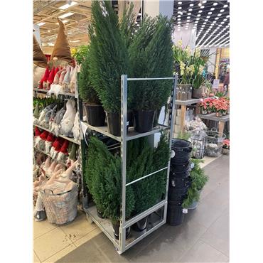 Blumenrollbehälter