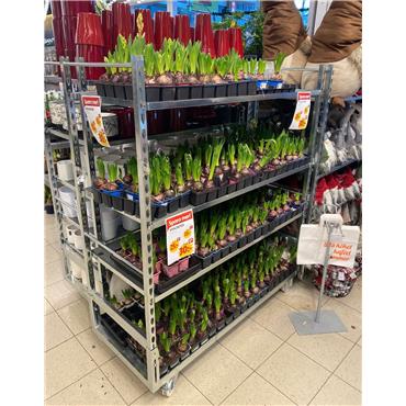 Blumenrollbehälter